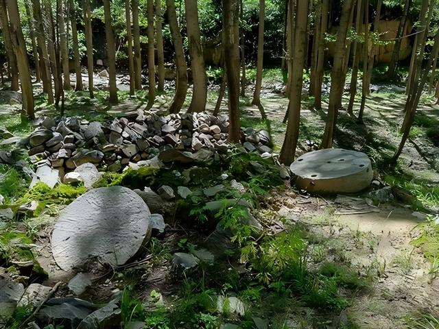 海东乐都区作协组织水峡采风 探访高原风物 感受河湟风情