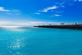 为什么NPD很喜欢反复回吸？他们明明已经有那么多其他“血包”？图片