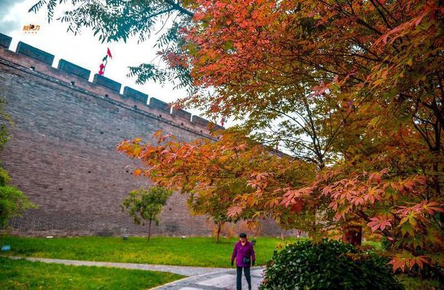 古城与秋叶的交响