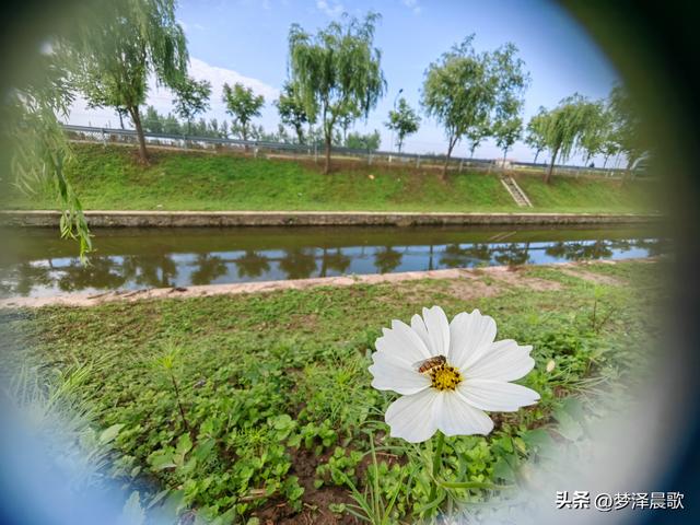 云梦初夏好风光，秦皇河畔醉田园