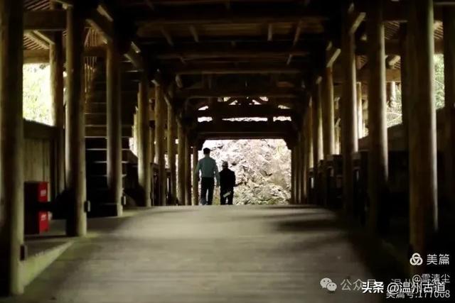 远上乌岩岭上斜,白云生处白云尖!温州这处秋日美景值得一去!