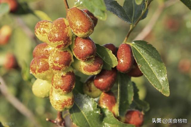 白酒“热着喝”和“凉着喝”差别很大，学会正确喝法，不容易上头