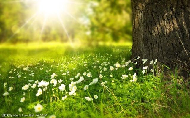 头条爆文《夫妻最好的相处：不是搭伙过日子，而是并肩闯人间》