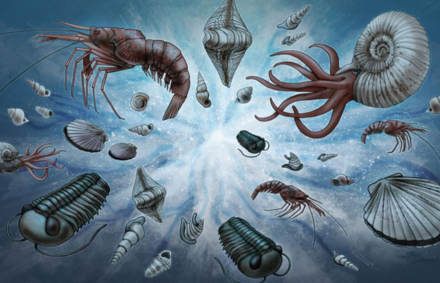 中国人为啥对酸味又爱又恨？一文讲清楚这背后的亿年演化历史