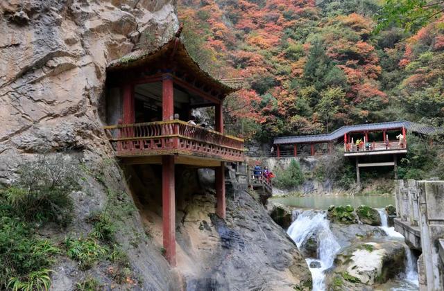 这才是秋天该有的样子~