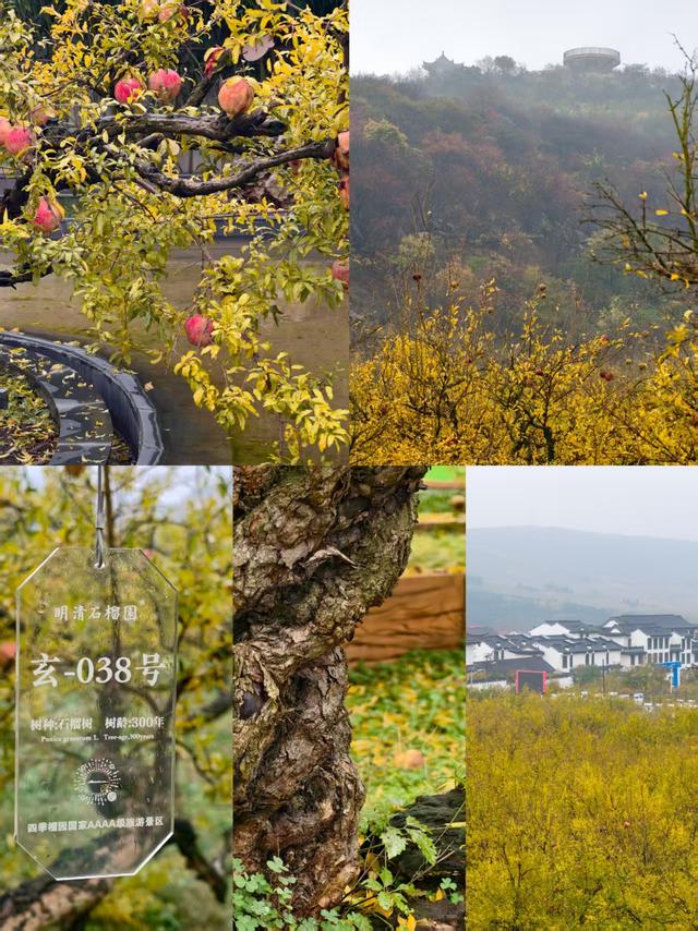 皖北漫记：在青山与古城间，寻一场舌尖的艳遇