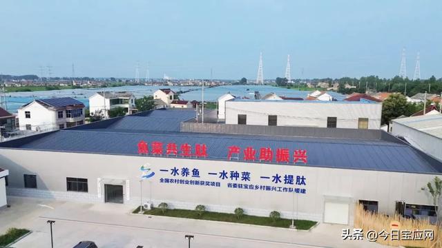 宝应军师村