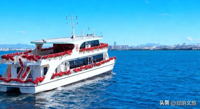 跟着滇超游昆明 | “鸥”然心动!打卡日记已备好,观鸥季精彩继续~