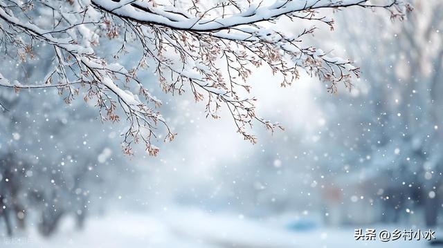 “最怕冬至是晴天”，明日冬至，晴天有啥预兆？看农谚咋说