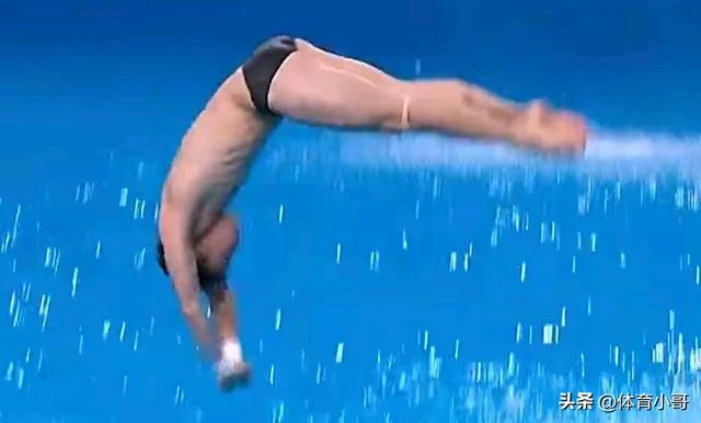 就在今天！11月6日早晨跳水界传来全红婵、王伟莹、练俊杰新消息