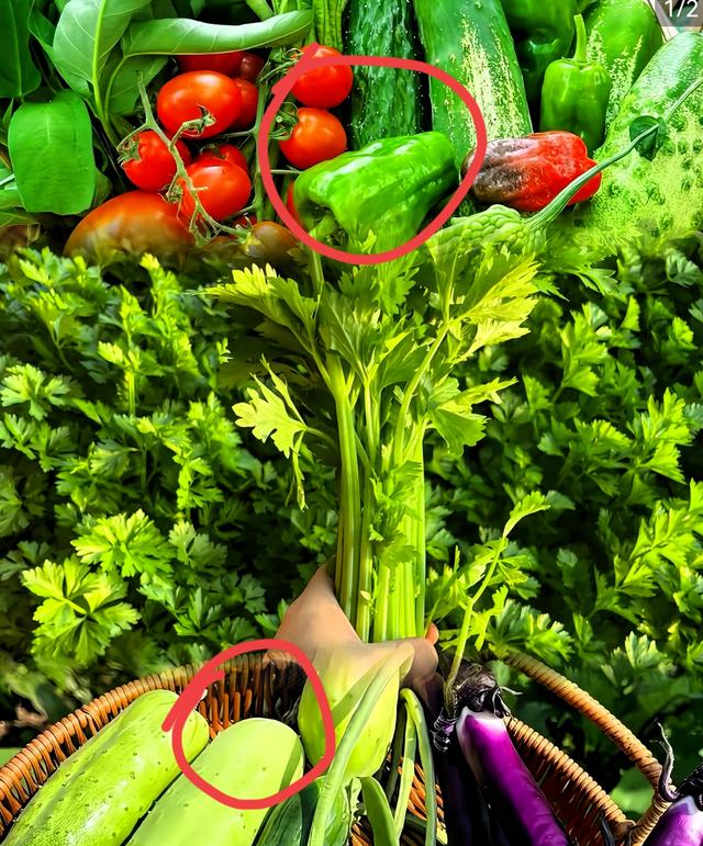 1. 央视实锤！1克就致命的“毒蔬菜	”已流向3地，买菜必看避坑指南