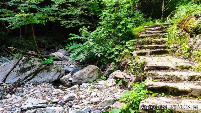 西安周边 | 这个秋天不可错过的宝藏旅行地！