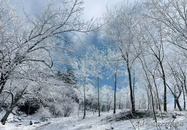 杭州一“雪景点”爆火，其景真如童话世界，路上三蹦子都用上了！