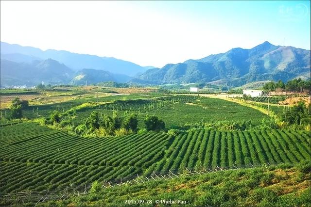 沉浸式感受韶关新丰绝美秋色！ 2天1夜赏枫露营品美食，徒步泡温泉，一起去躺平 ！