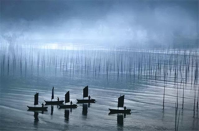 这是油画还是实景？太美太美啦！！