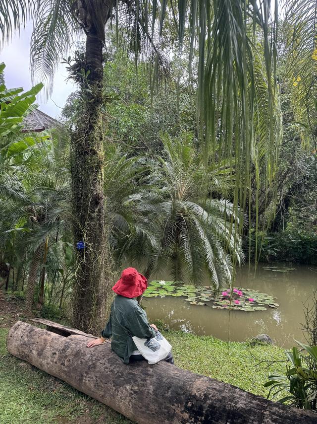 畅游植物王国 体验傣族风情