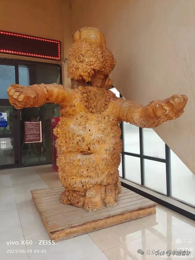 探秘新疆巴楚红海景区：自然与人文的交响｜ 申艳娟