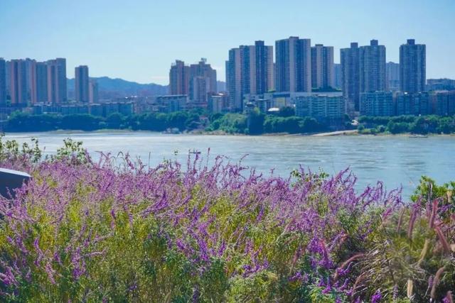 重庆公园+1+1+1……快到这些地方晒太阳→