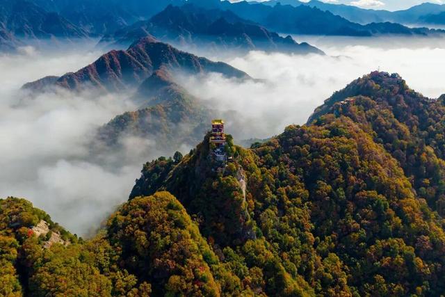 The Qinling Mountains in painted splendor｜秦岭彩叶大赏，美到“巅峰”