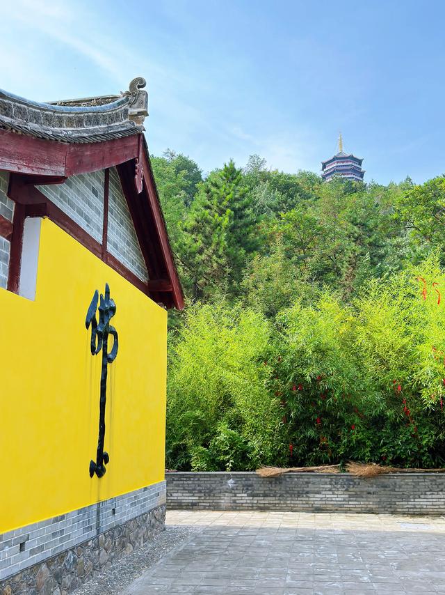 南山有嘉木（天水南郭寺）