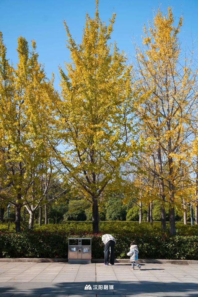 限时绝美！汉阳全城颜值巅峰，零换乘直达