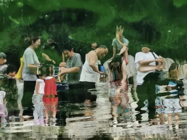 被济南泉水下的世界惊艳到了！