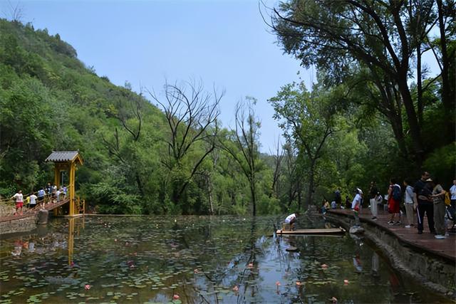 走进蒙山景区，感受夏日清凉...