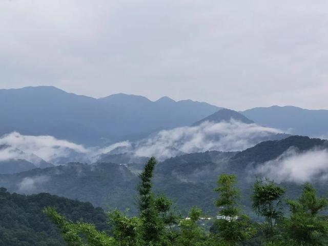 【东坡十六乐事】半山云海驿站——雨后登楼看山