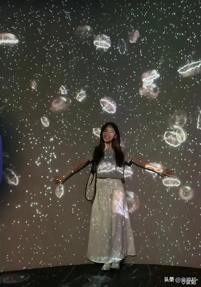 台中海洋馆 水母池艺术级水族体验 莲之水槽无敌梦幻