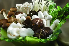 金针菇、大白菜等都是甲醛菜，不能吃？图片