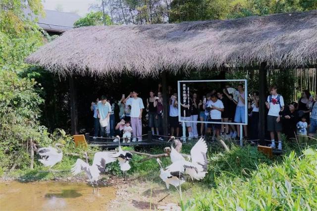 中德学子跨越山海的绿色对话：湄公河旅游旗下湖州长颈鹿庄园迎来德国霍恩林姆伯格高级文理中学师生到访