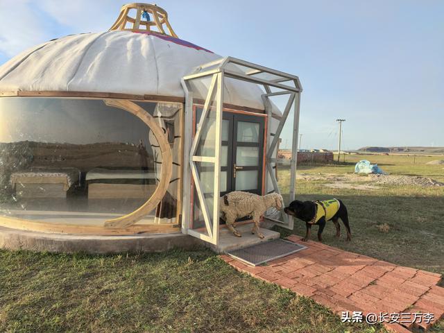 北上大草原第7站：入住贡格尔草原深处