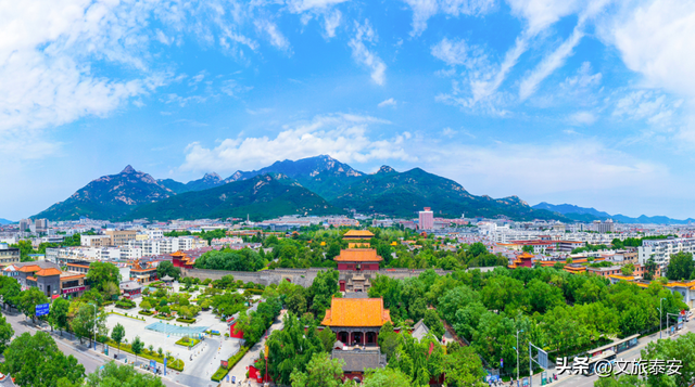 洛阳宝宝冲！四条线路解锁“一山一圣”的新玩法，朋友圈从洛阳卷到山东！