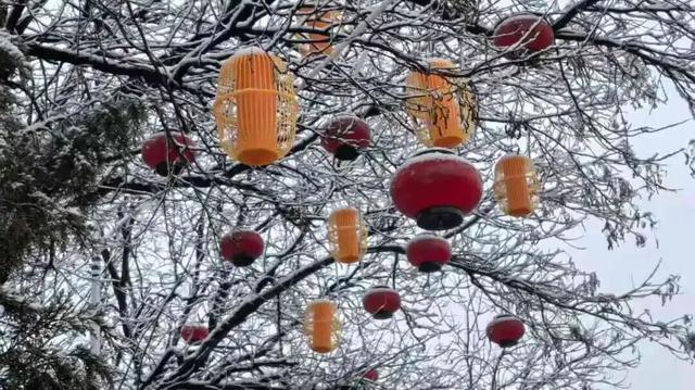 看！这是昌平雪后的美景——