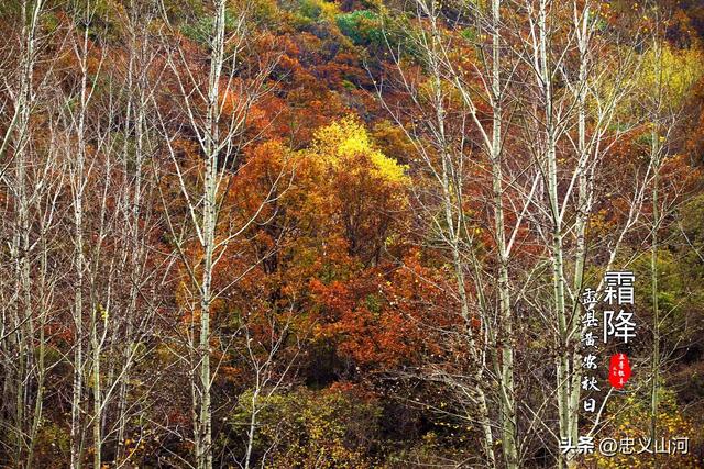 盂县24节气风光——霜降