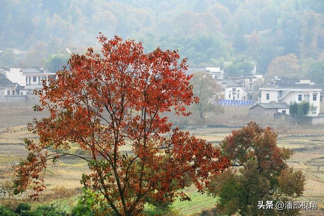 秋色塔川，无梦到徽州