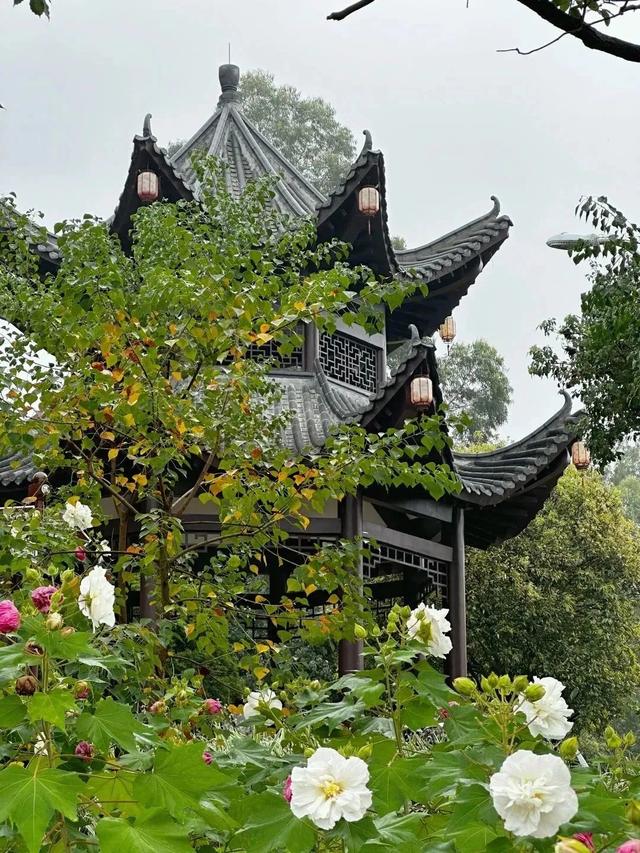 性价比拉满！韶关城区一日漫步计划，登山赏花逛吃全搞定
