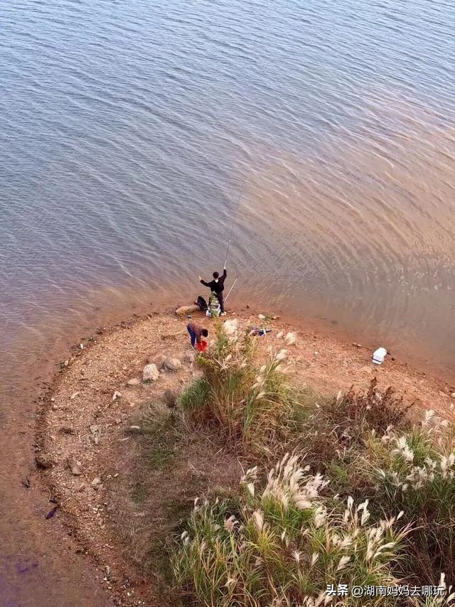 冬日遛娃就去长沙“济州岛”！水杉染红，芦苇摇浪，0元解锁 “橘子海” 日落