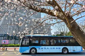 上班族通勤利好！惠企巴士上新图片