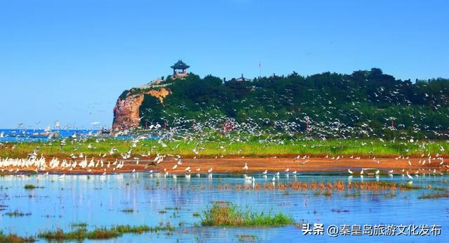 央媒瞩目！秦皇岛，这座“掌管”浪漫和治愈的城市！