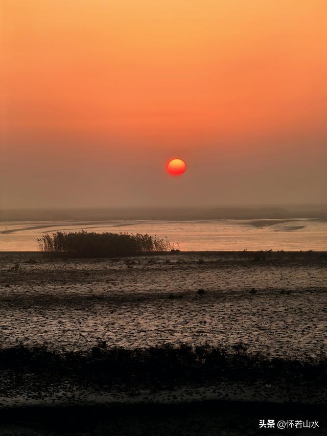 2025辽宁赏秋之旅日记(6)——到辽河口中国最北海岸线看日出 观鸟