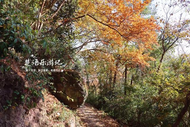 雪窦山深处的古村，周边的红枫胜境太美了，弥勒大佛观景地是亮点