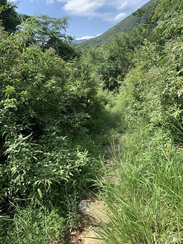 重走长征路（21）：临武这条千年古道，徐霞客走过，红军走过