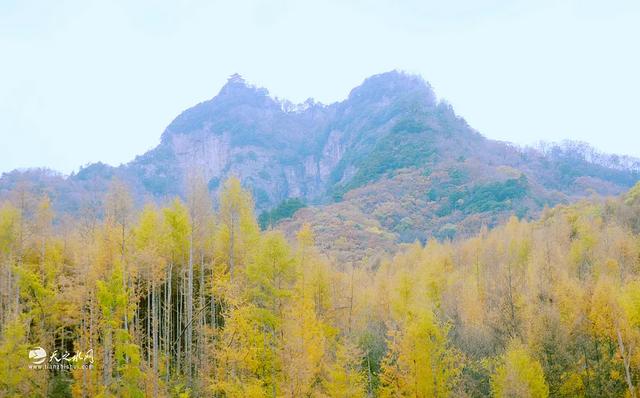 秋染天水白音山双乳峰：一幅大自然馈赠的立体画卷