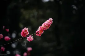 两个人彻底断了联系，男人要多久才会忘记女人，答案是：四个字图片
