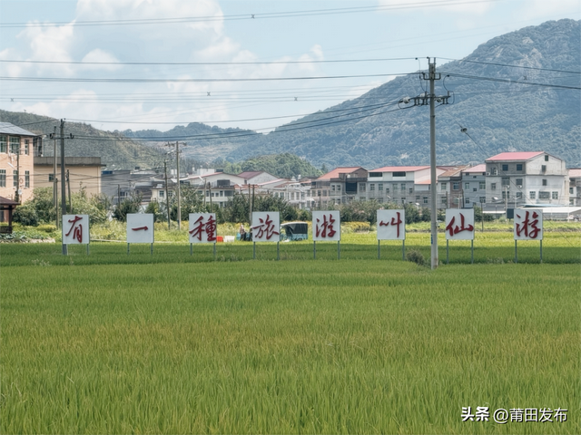 莆田仙游南兴村，稻田里藏着四季童话