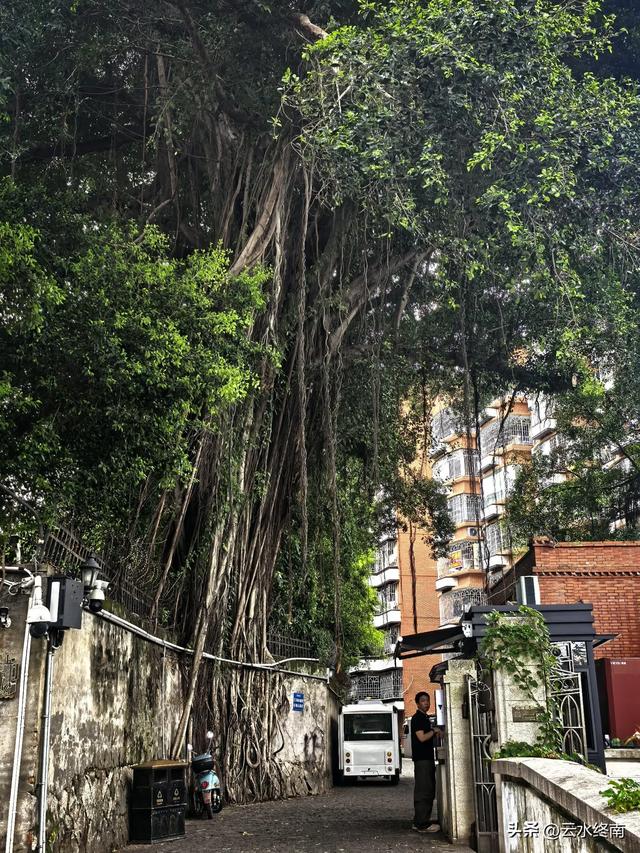 如果你不做点功课，福州的这个“迷宫”景点，我是不建议去的