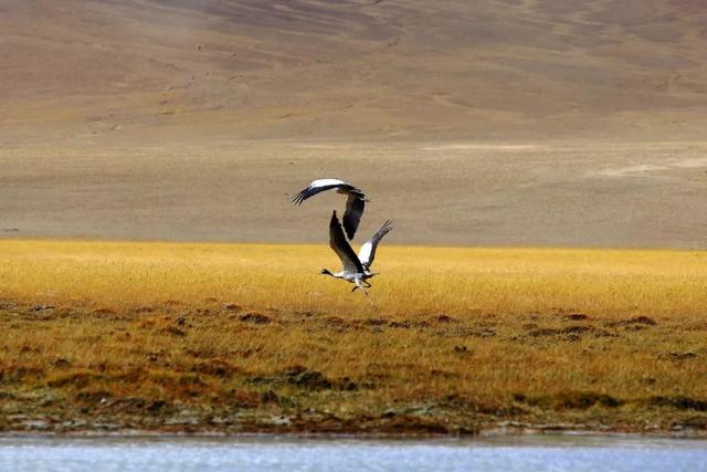 揭秘西藏顶级风光：除了拉萨这些地方更惊艳