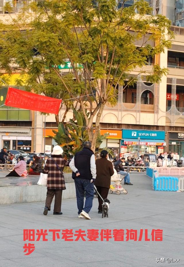 奇哉	，蜀犬不吠日矣