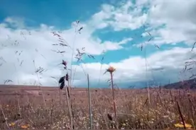 透析的妹妹问医生：为什么我透析还不到两年，胳膊上就鼓起了大包图片